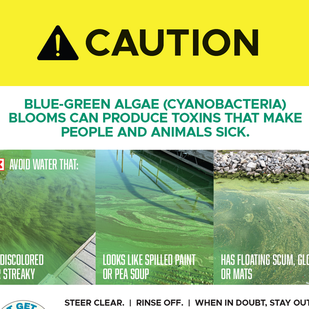 Avoid The Ick Caution Posters preview