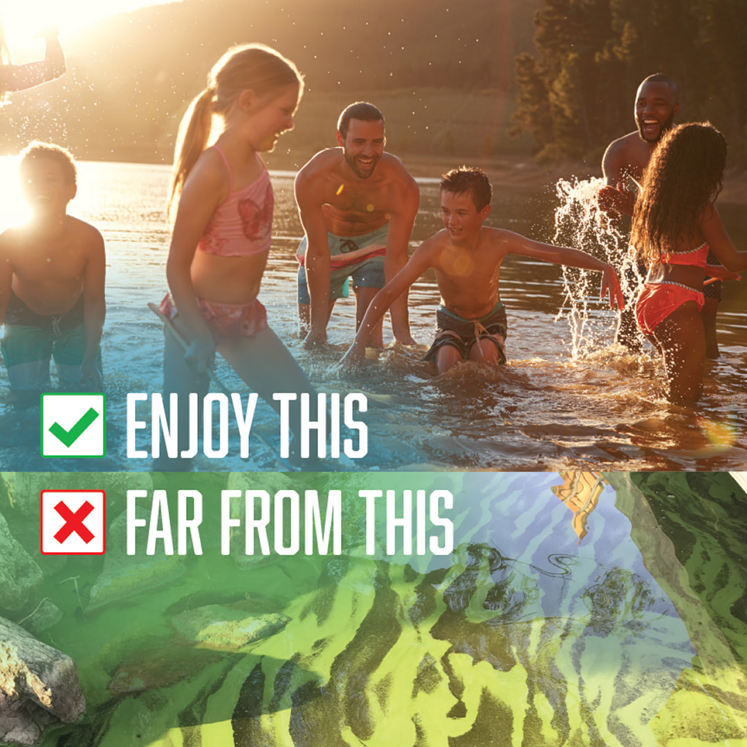 Avoid The Ick Promotional Posters BCPH and NW Logos preview
